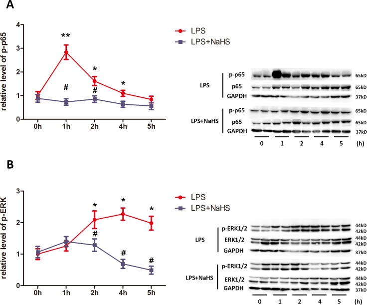 Fig 6