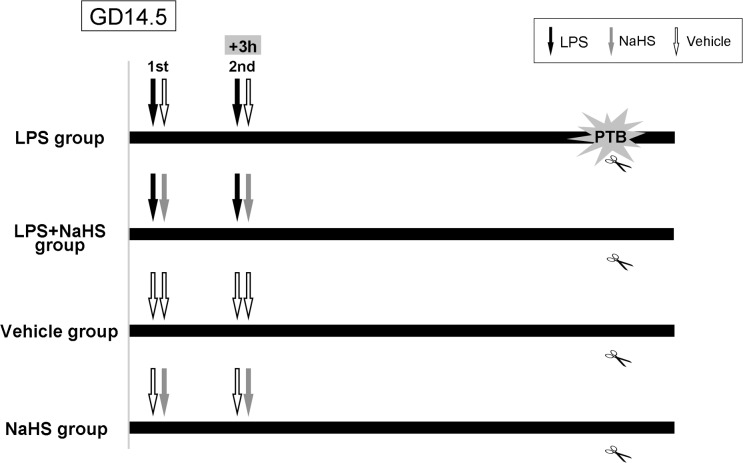 Fig 1