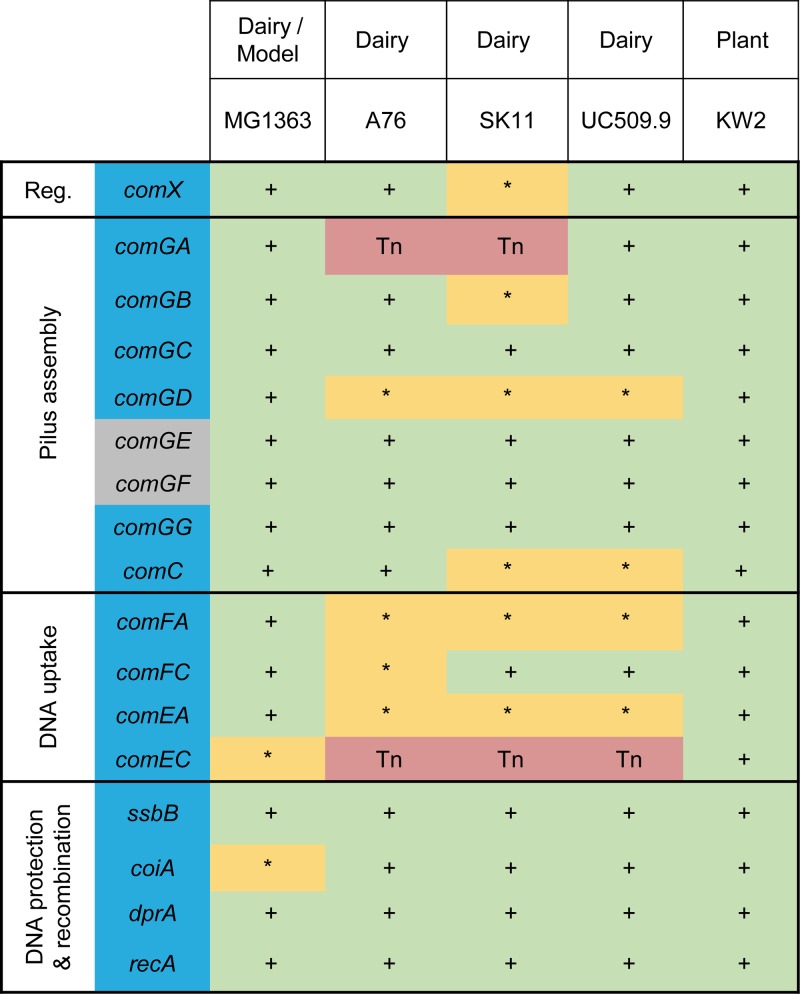 FIG 1