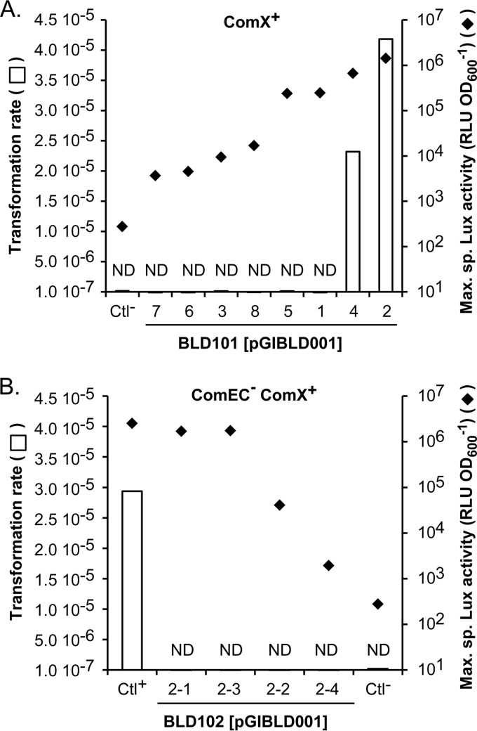 FIG 4