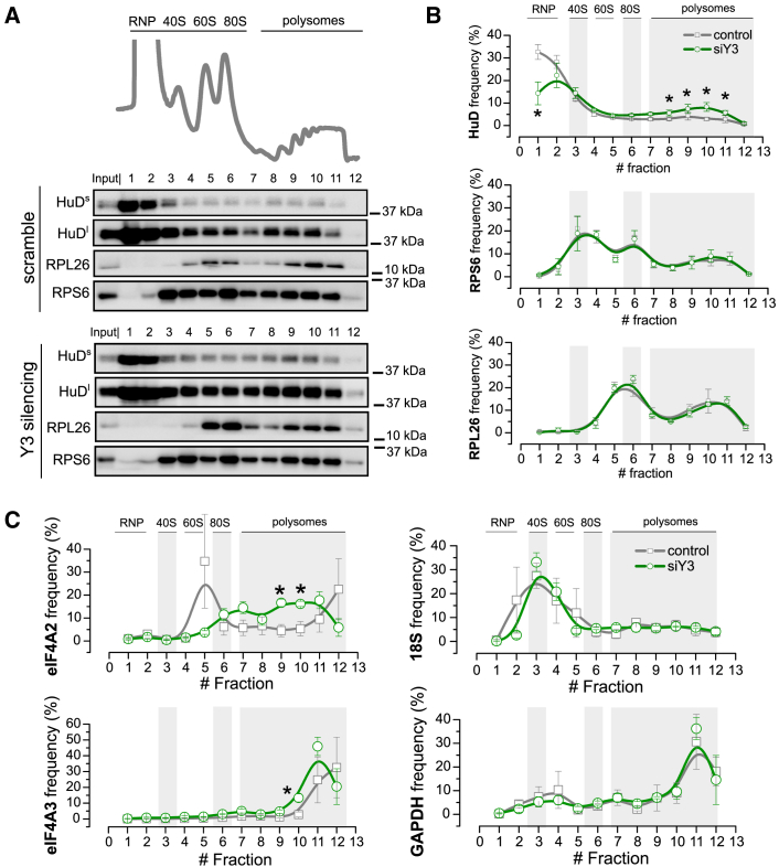 Figure 6