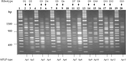 FIG. 5.