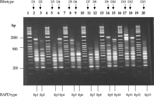 FIG. 4.