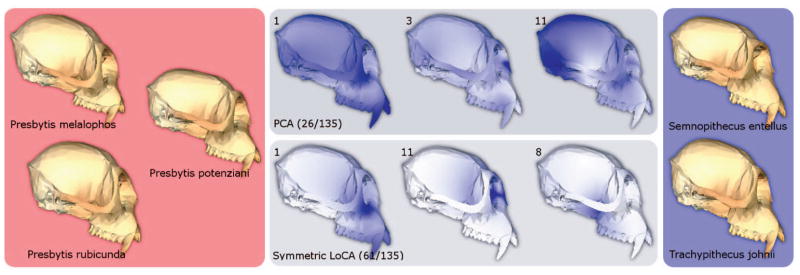 Fig. 6