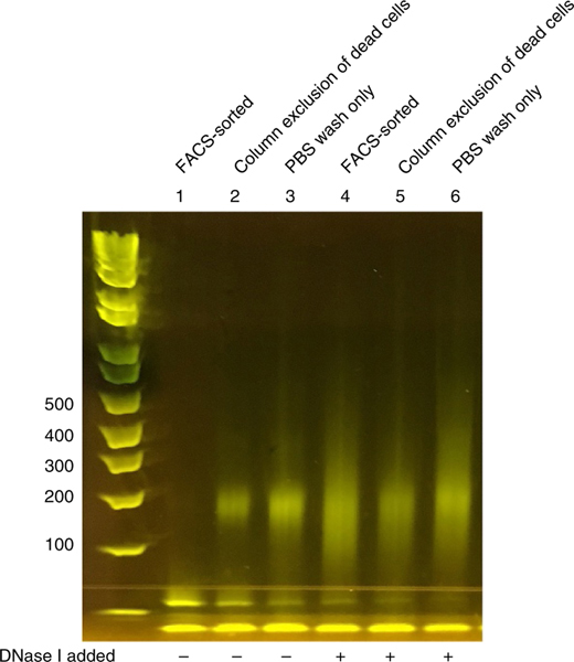 Figure 3 |