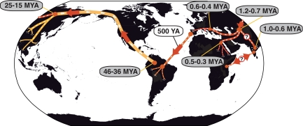 Fig. 4.