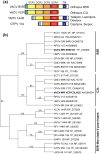 Fig. 6