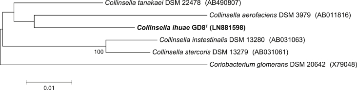 Fig. 3