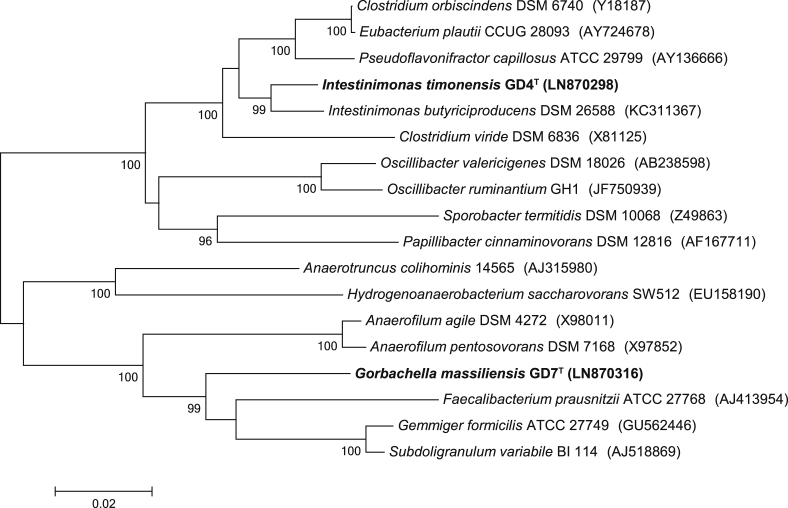 Fig. 1