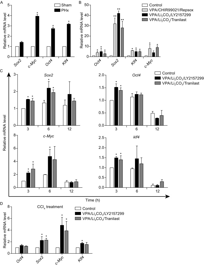 Figure 4