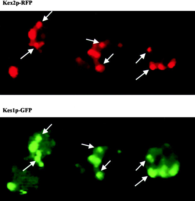 Figure 6.