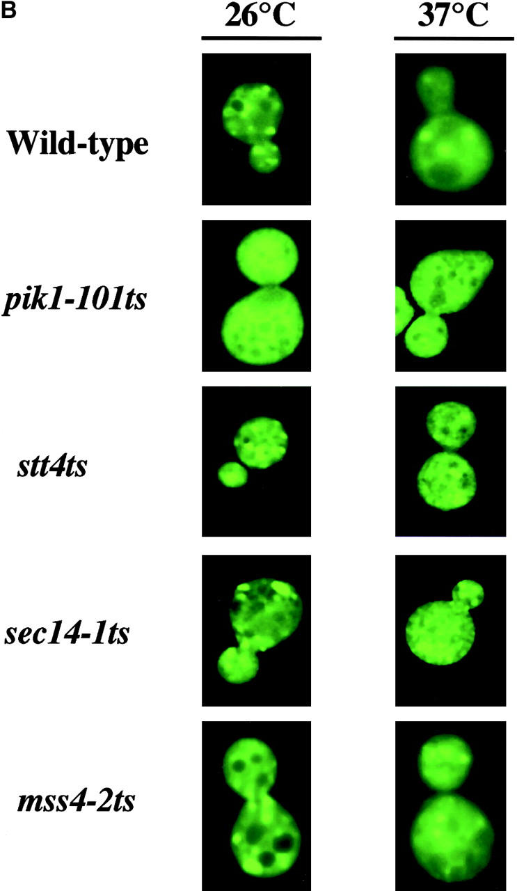 Figure 7.