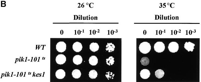 Figure 10.