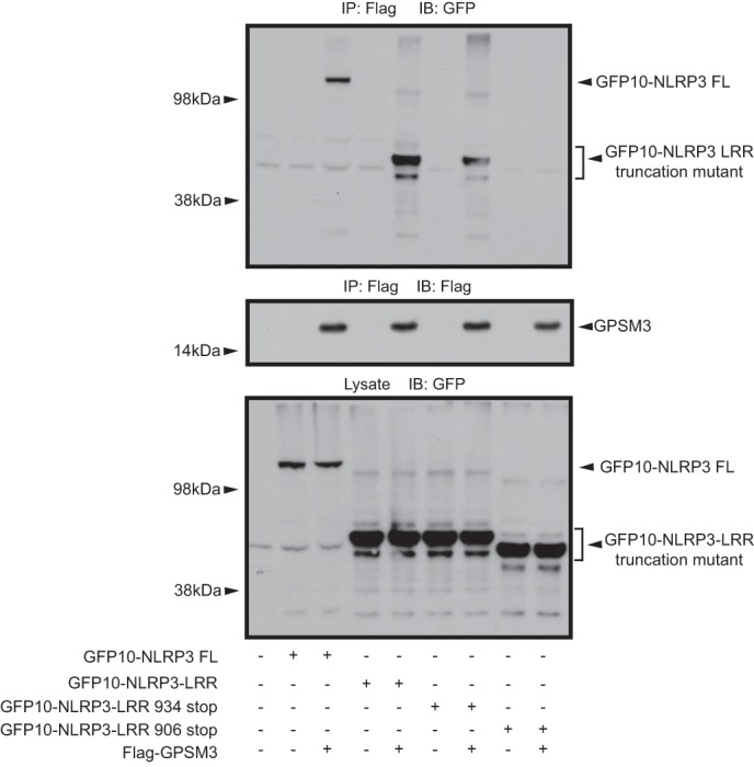 FIGURE 3.