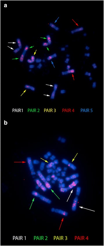 Fig. 3