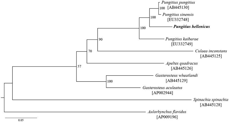 Figure 1.