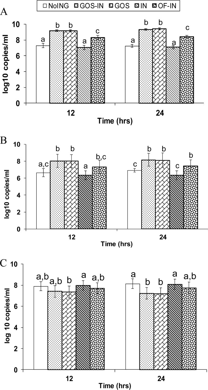 FIG 1