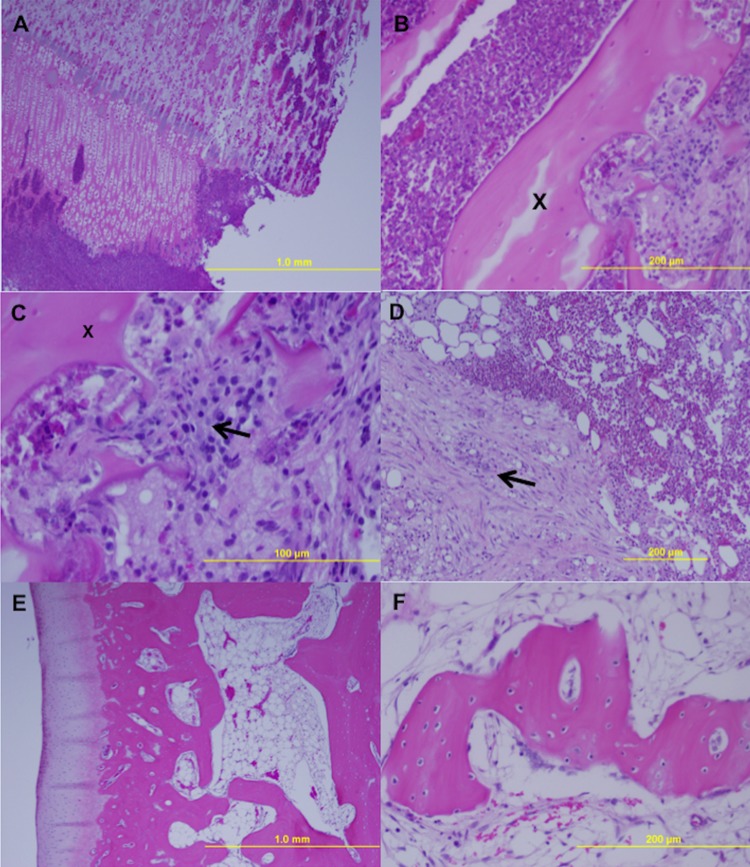 FIG 3