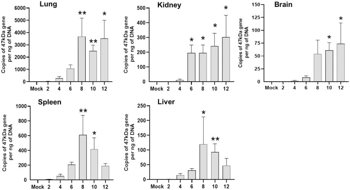 Fig 2