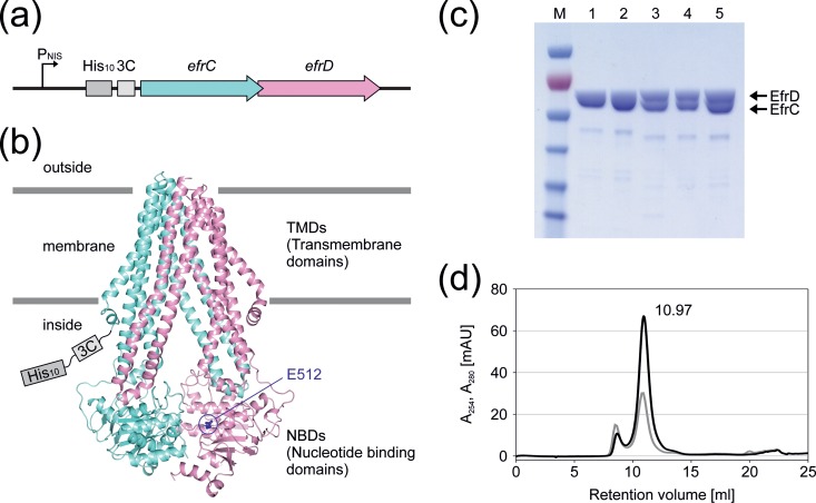 FIG 4