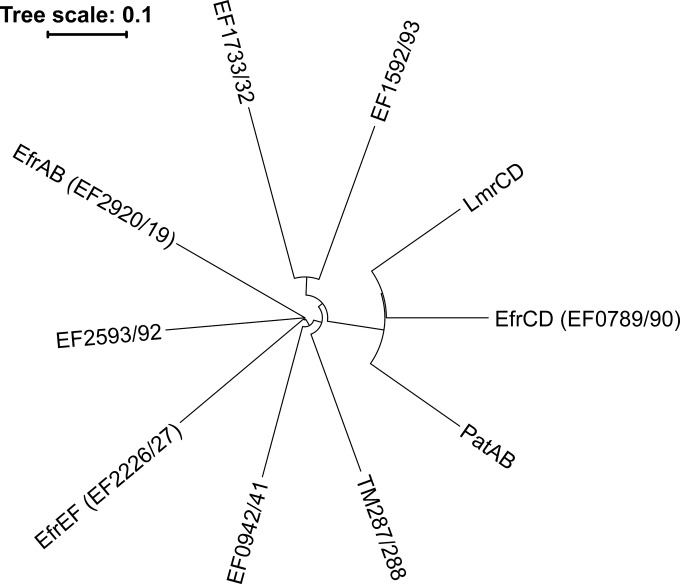 FIG 1