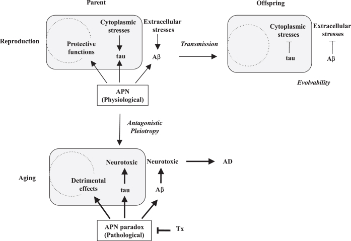 Fig.1