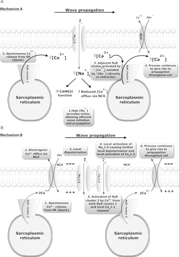 Figure 4