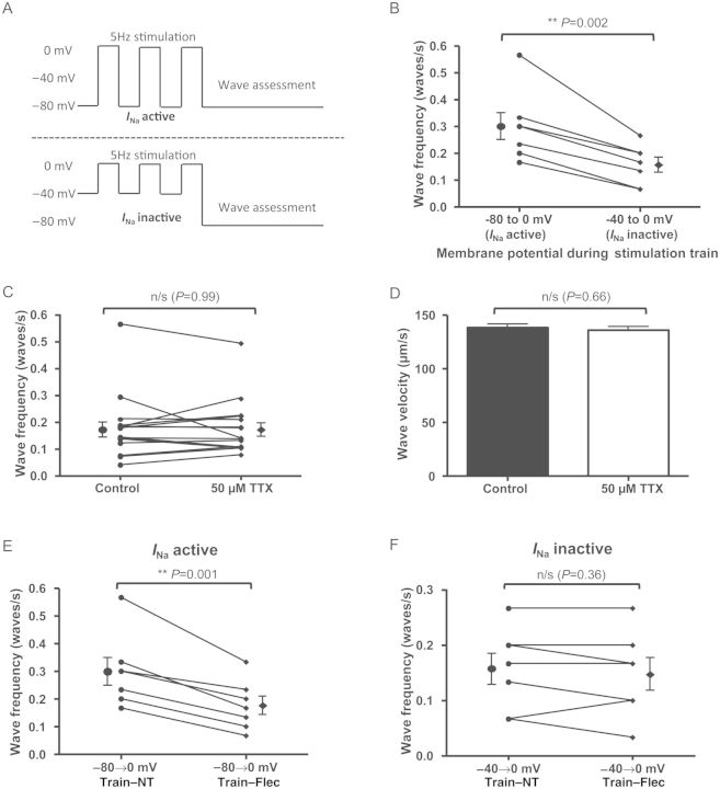 Figure 5