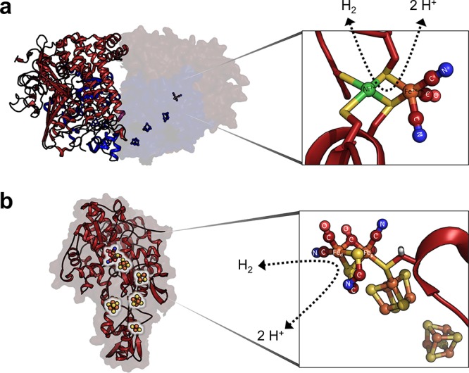 FIG 1