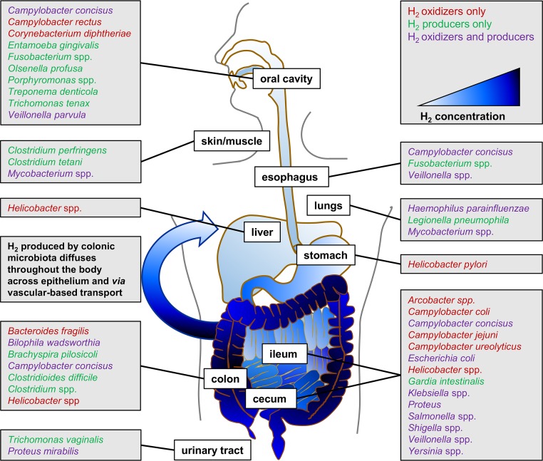 FIG 3