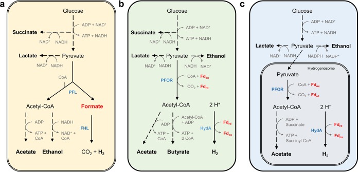 FIG 8