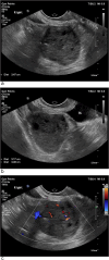 Fig. 1