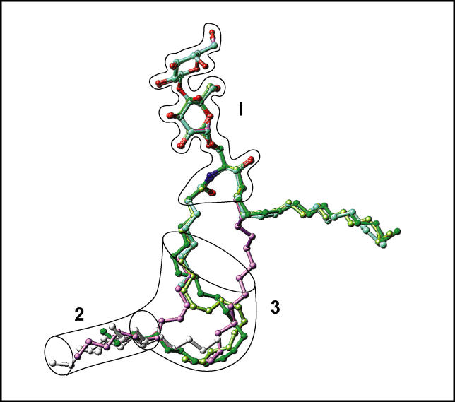 Figure 11