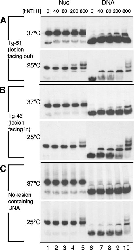 FIG. 7.