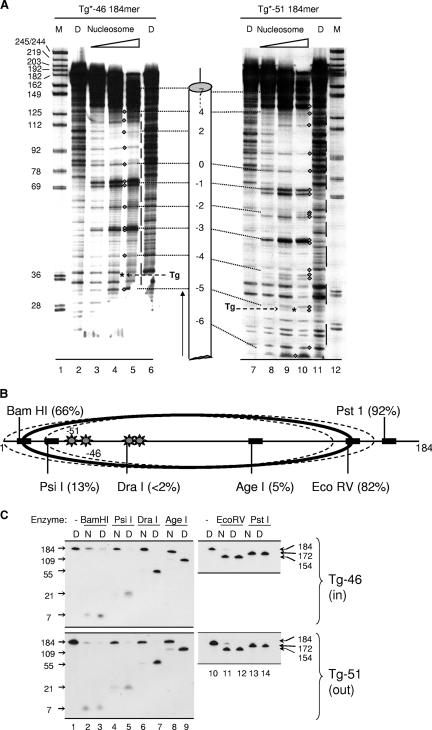 FIG. 3.