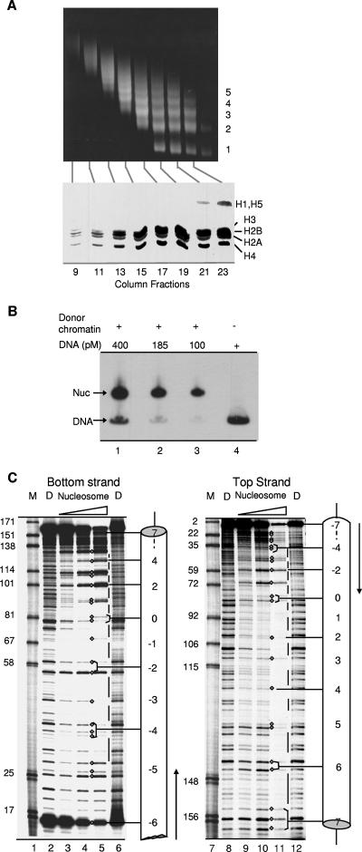 FIG. 2.