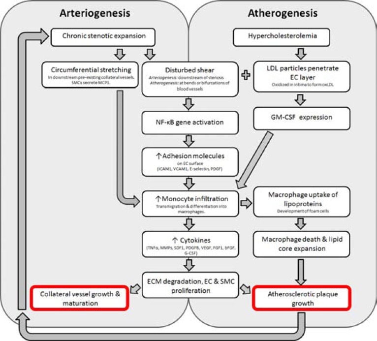 Fig. (3)