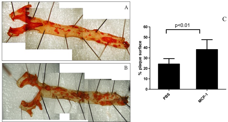 Fig. (2)