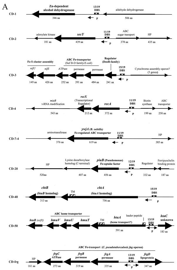 FIG. 2.