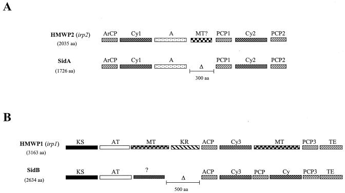 FIG. 7.