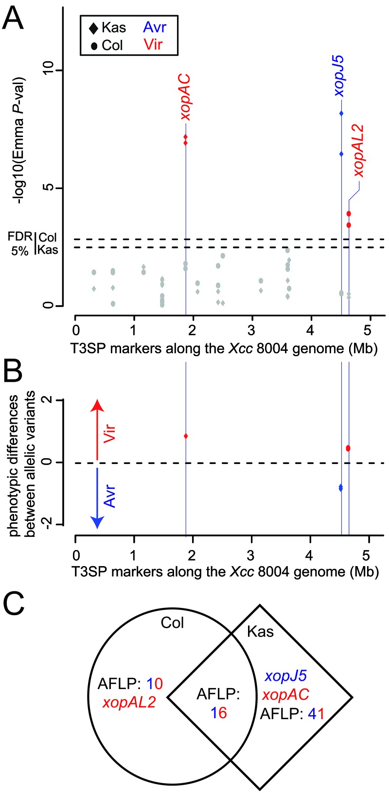 FIG 3 