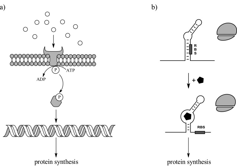 Fig. (3)