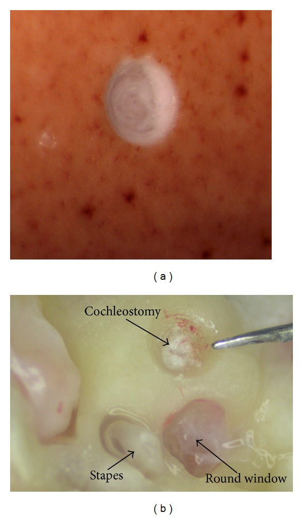 Figure 9