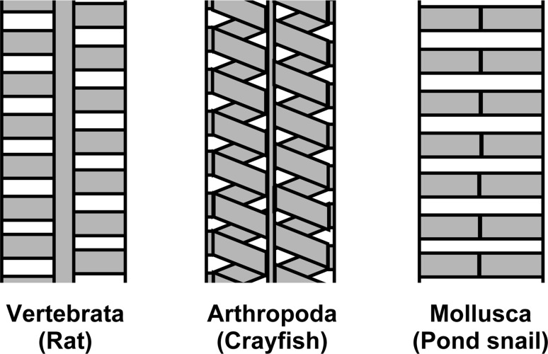 Fig. 6