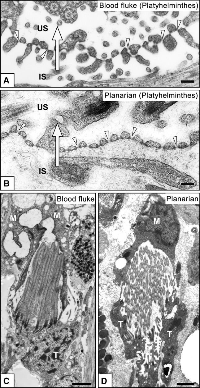 Fig. 3a–d