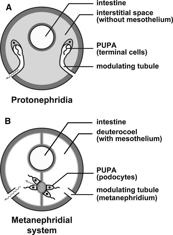 Fig. 1a,b