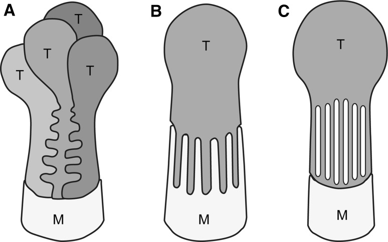 Fig. 2a–c