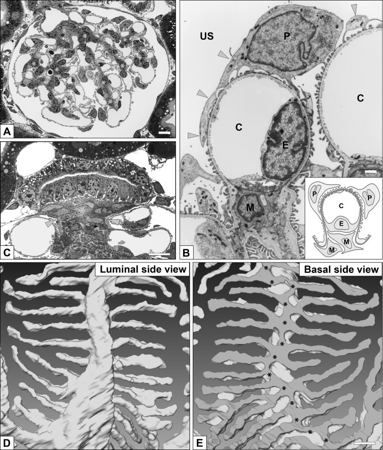 Fig. 8a–e