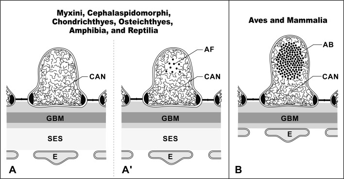 Fig. 10a,b