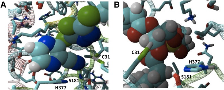 Fig. 9.